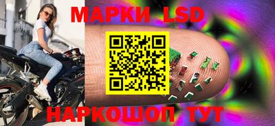 spice Кунгур