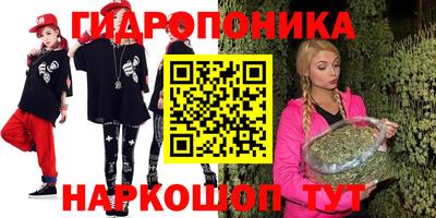 spice Кунгур