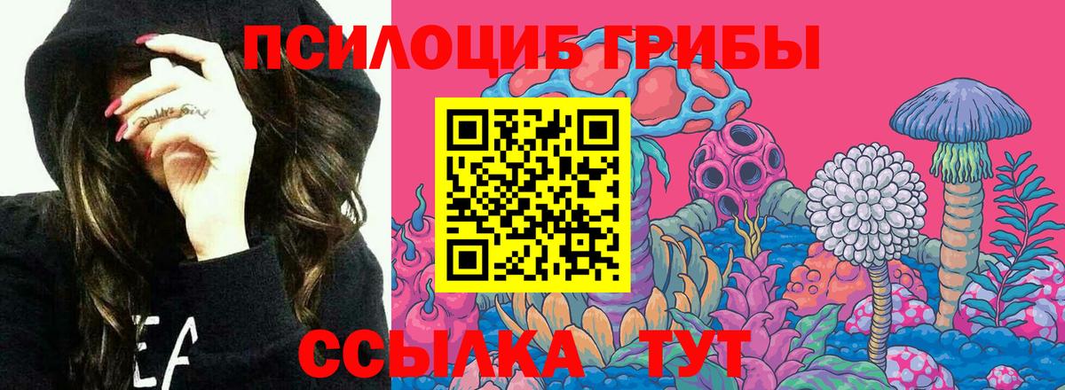 Псилоцибиновые грибы Psilocybine cubensis  Вход с VPN  Красногорск 